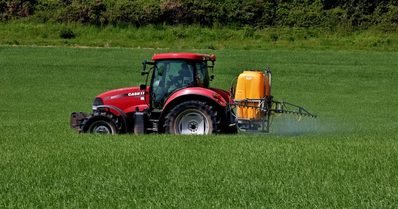 Quel est le produit le plus efficace contre les blattes ?