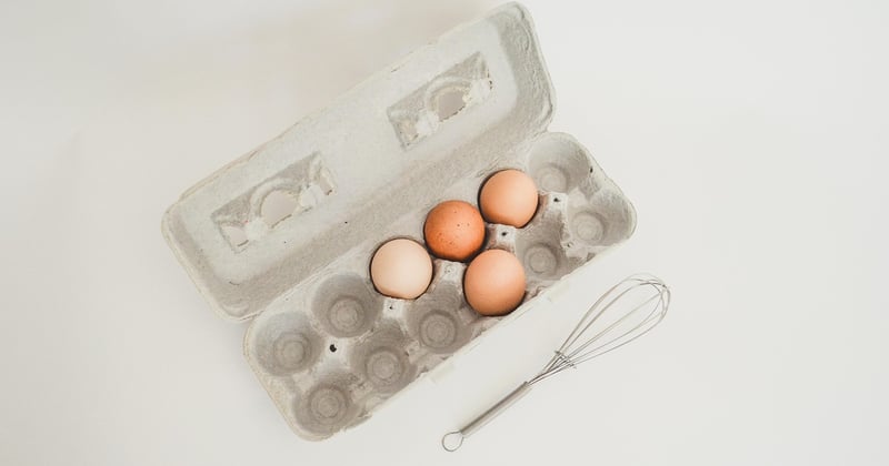 Fabriquez une cabane en carton : 12 idées faciles et créatives pour enfants