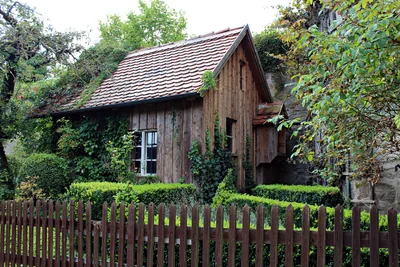 vieille cabane en bois
