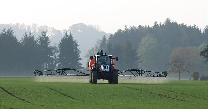 Pourquoi le desherbant puissant interdit fait trembler les jardiniers