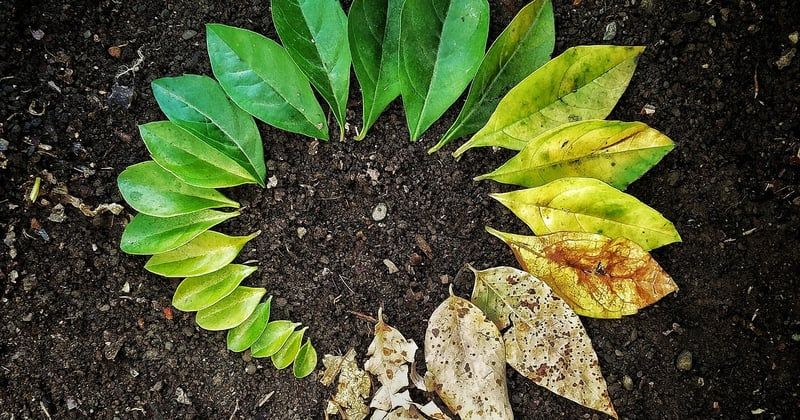 Aménagement extérieur : créer une terrasse en palettes recyclées en 2026